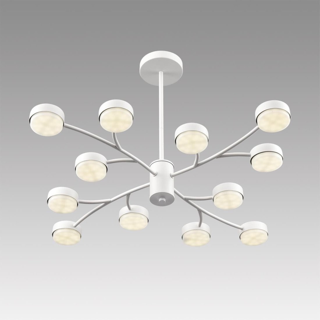 Подвесная люстра Lumion Torina 8265/12
