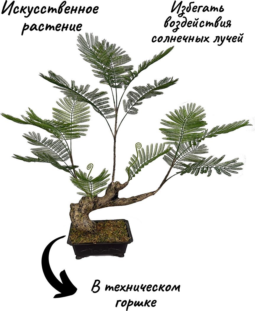Искусственное растение Merry Bear Home Decor Жакаранда Мимозолистная AY909095