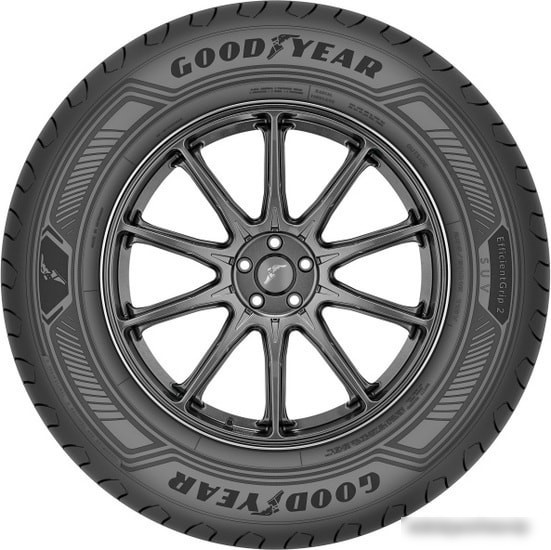 Автомобильные шины Goodyear EfficientGrip 2 SUV 275/50R21 113V