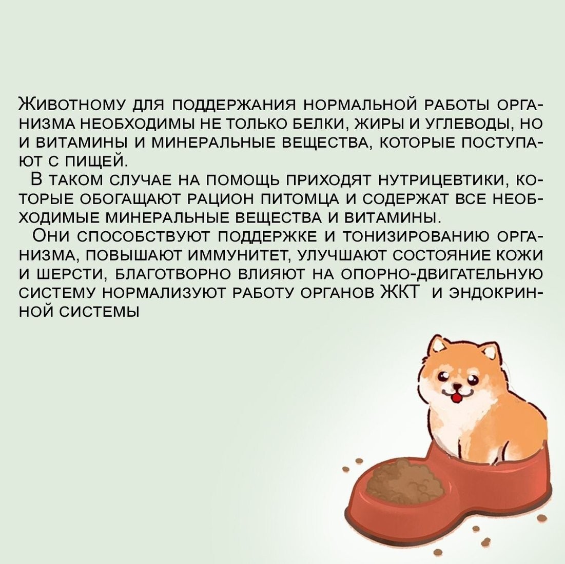 Сухой корм для собак Edel Medium&Maxi Beef 2 кг