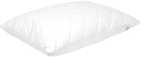 Спальная подушка GoodNight Organic 50x70 PBLT50 (бамбук/искусcтвенный лебяжий пух/тик)