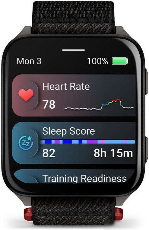 Умные часы Garmin Venu X1 (титановый/черный)