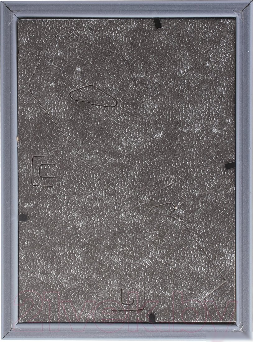 Фоторамка BRAUBERG HIT5 391067 (серебристый с двойной позолотой)