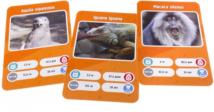 Настольная игра GaGa Games Это факт! Зоопарк