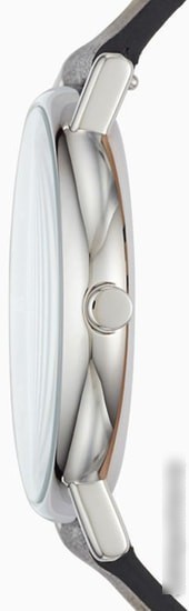 Наручные часы Skagen SKW6434