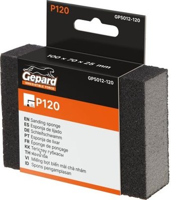 Шлифовальная губка Gepard GP5012-120