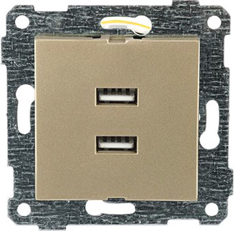 Розетка USB Mutlusan Rita 2200-449-0185 (золото доре)