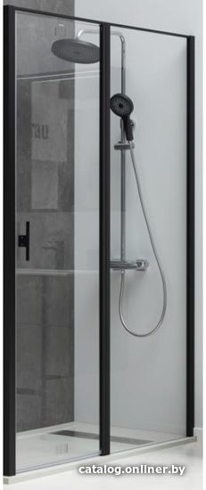 Душевая дверь Allen Brau Priority 3.31027.BBA 294056 (черный браш)
