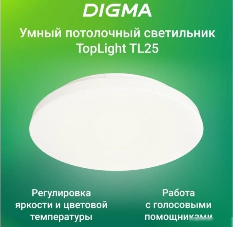 Светильник Digma TopLight TL25