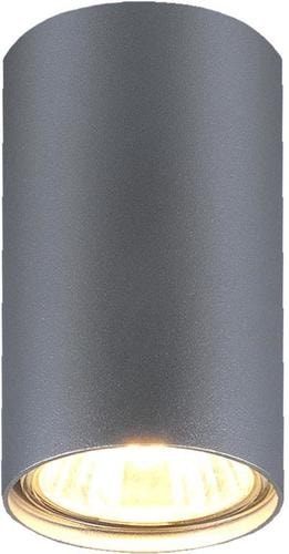 Точечный светильник Elektrostandard 1081 GU10 SL