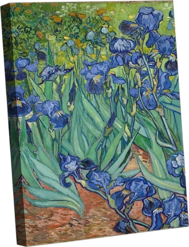 Картина Citydecor Ирисы Винсент ван Гог 1.195 (90x60)