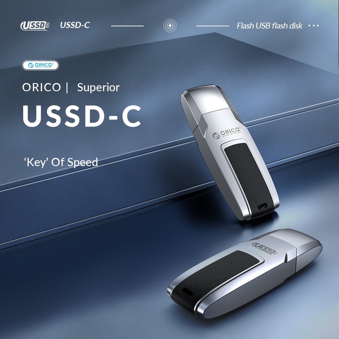 USB Flash Orico USSD-C 256GB USSD-C-A256G-SV-BP