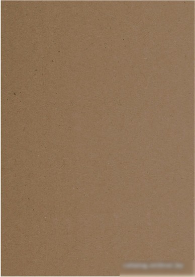 Набор бумаги для рисования BRAUBERG Art Classic 112485 (200 л)