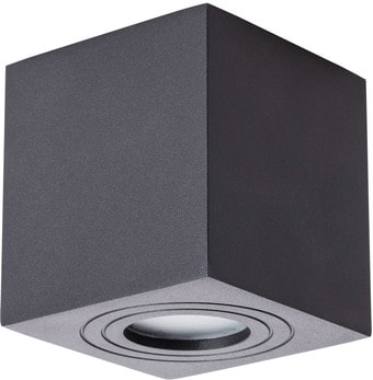 Точечный светильник Arte Lamp Galopin A1461PL-1BK