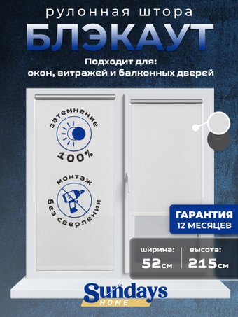 Рулонные шторы Sundays Home LM 167-01 52х215 (белый)