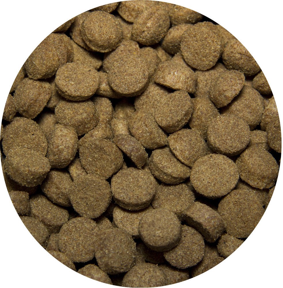 Сухой корм для собак All Dogs для взрослых с говядиной и овощами 2.2 кг