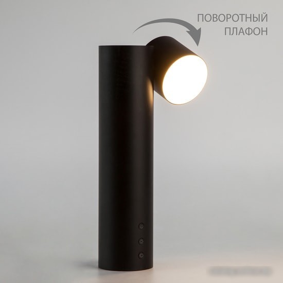 Настольная лампа Евросвет 80425/1 (черный)