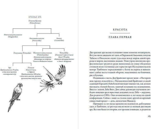Книга издательства Альпина Нон-фикшн. Воспитание дикости. Как животные создают свою культуру (Сафина К.)