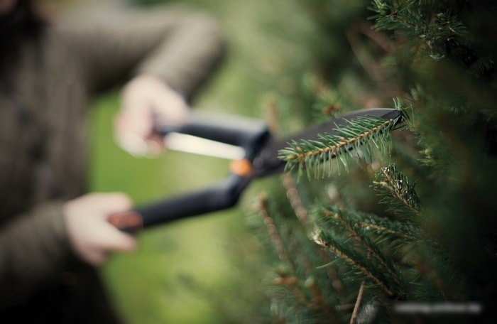 Ножницы садовые Fiskars SingleStep HS22 1001433