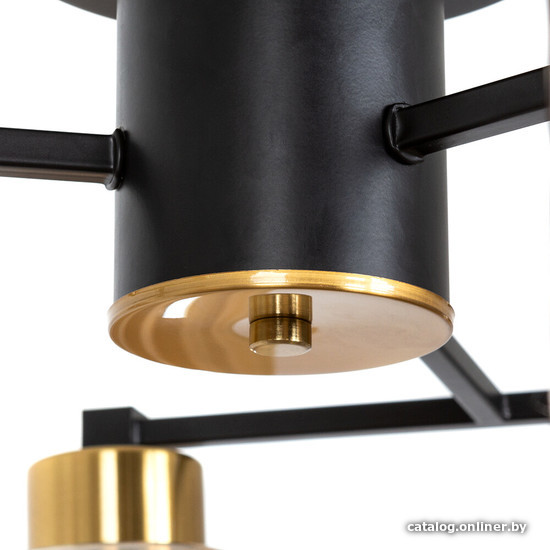 Люстра средней высоты Arte Lamp Leo A7027PL-6BK