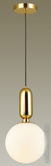 Подвесная люстра Odeon Light Okia 4669/1