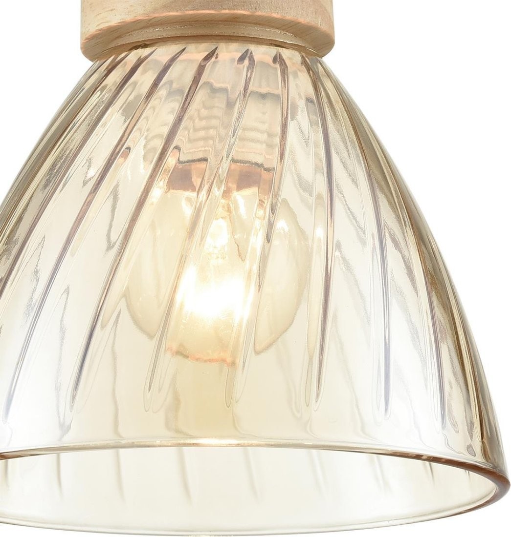 Подвесная люстра Lumion Mirabela 8051/1А