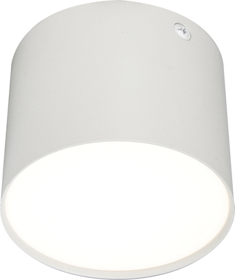 Точечный светильник Escada 20004SMU/01 LED 9W 4200K (белый матовый)