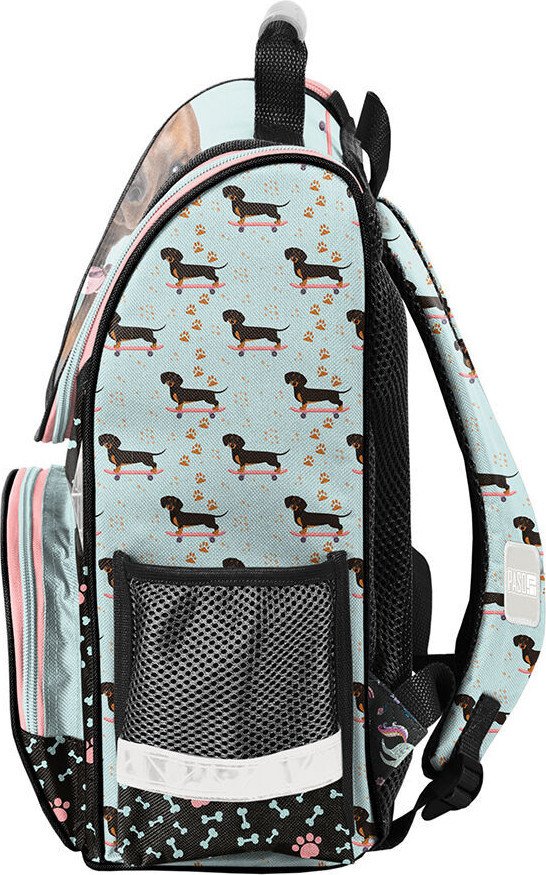 Школьный рюкзак Paso PP25JA-525