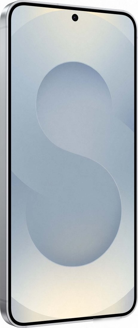 Телефон Samsung Galaxy S25 SM-S931N 12GB/256GB (серый)
