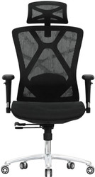 Офисное кресло Evolution Exo F1 Mesh Black (черный)