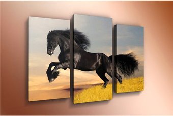 Модульная картина Arthata m-000321 120x80