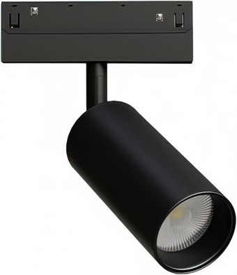 Трековый светильник Arte Lamp Linea A4681PL-1BK