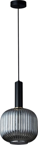 Подвесная люстра LOFT IT IRIS 2070-B+BL