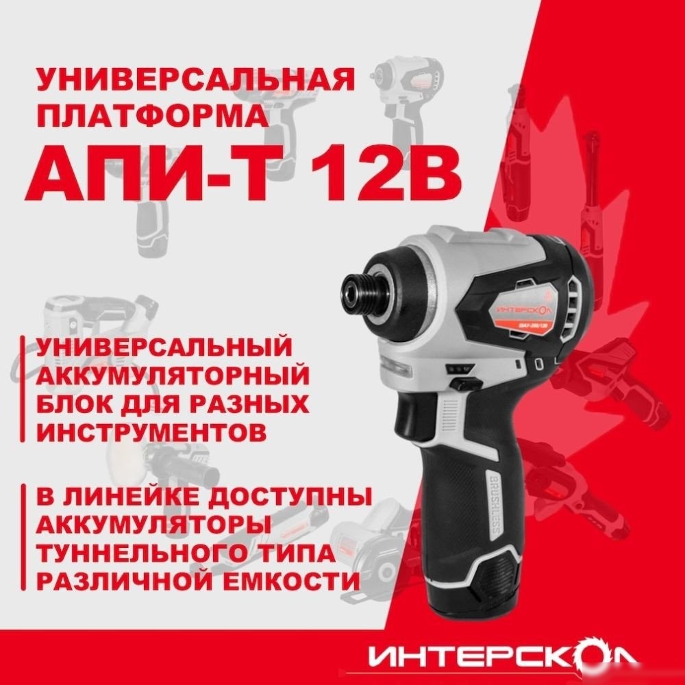 Винтоверт Интерскол ШАУ-220/12ВЭ 803.2.2.70 (с 2-мя АКБ, кейс)