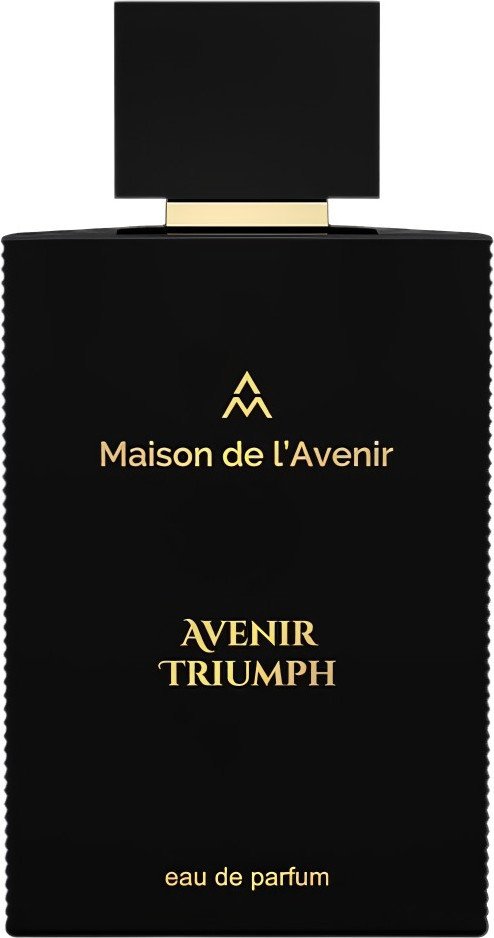 Парфюмерная вода Maison De L'avenir Avenir Triumph EdP (100 мл)