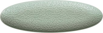 Блюдо Corone Nori LQ-QK15295-GRE фк5630 (зеленый)