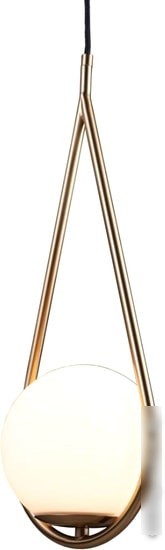 Подвесная люстра LOFT IT Glob LOFT2599-A