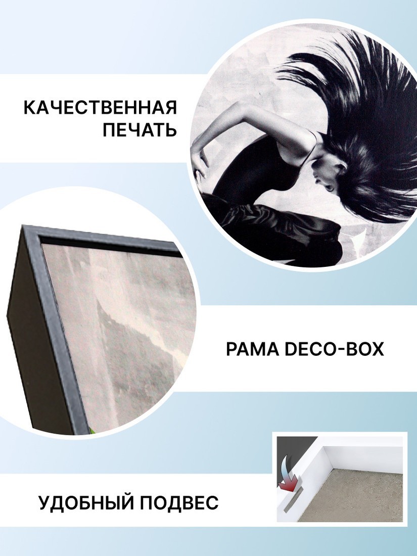 Картина Декарт 8Л1517