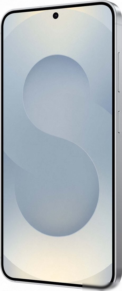 Телефон Samsung Galaxy S25 SM-S931B 12GB/512GB (серый)