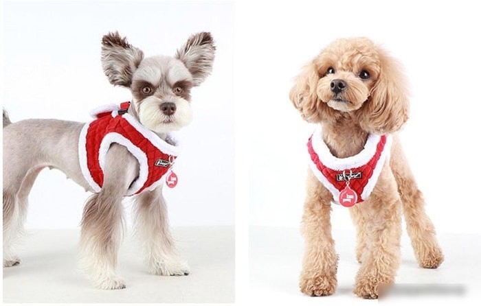 Шлейка Puppia Blitzen-B PAQD-AH1470-RD-M (красный)