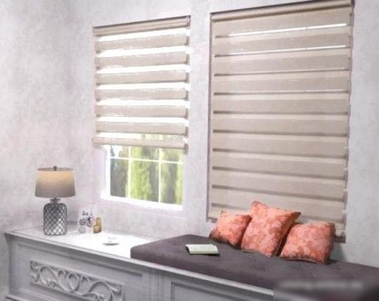 Шторы день-ночь Lm Decor Грация ДН LB 10-11 61x160