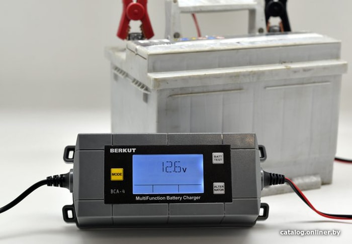Зарядное устройство Беркут BCA-4