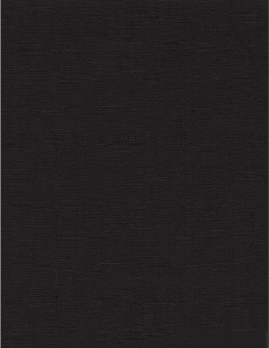 Мини рулонные шторы Delfa Сантайм Лен СРШ-01 МЭД2681 (81x160, черный)