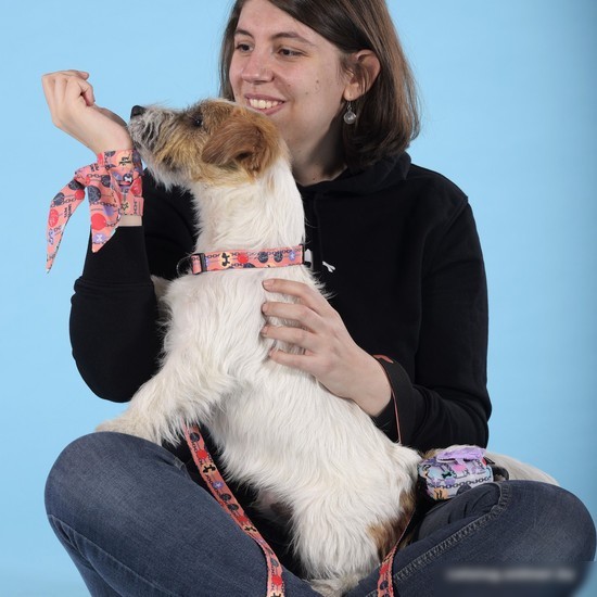 Ошейник United Pets Complete Me Forever Collar (S)