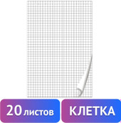 Бумага для флипчарта BRAUBERG 128645 (20 листов, клетка)