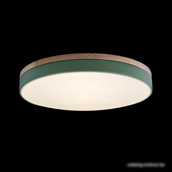 Люстра-тарелка LOFT IT Axel 10001/36 Green