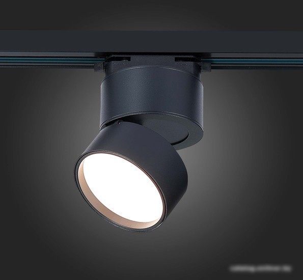 Светильник ST Luce ST651.436.09
