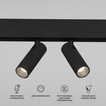 Точечный светильник Elektrostandard Slim Magnetic Dim Dual 85056/01 (черный)