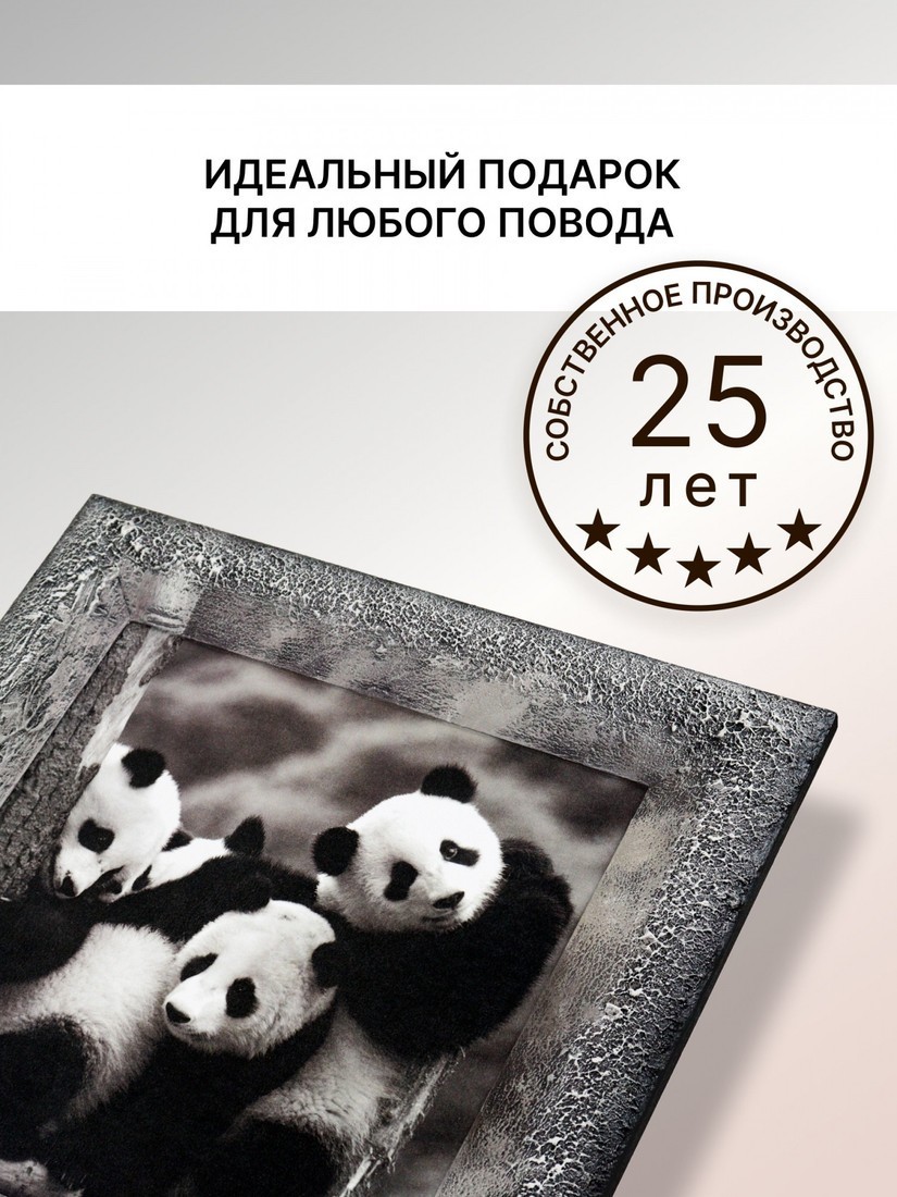 Картина Декарт 8Л0204
