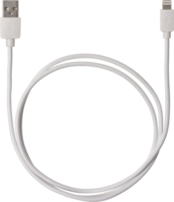 Кабель TDM Electric USB Type-A - Lightning SQ1810-0306 (1 м, белый)